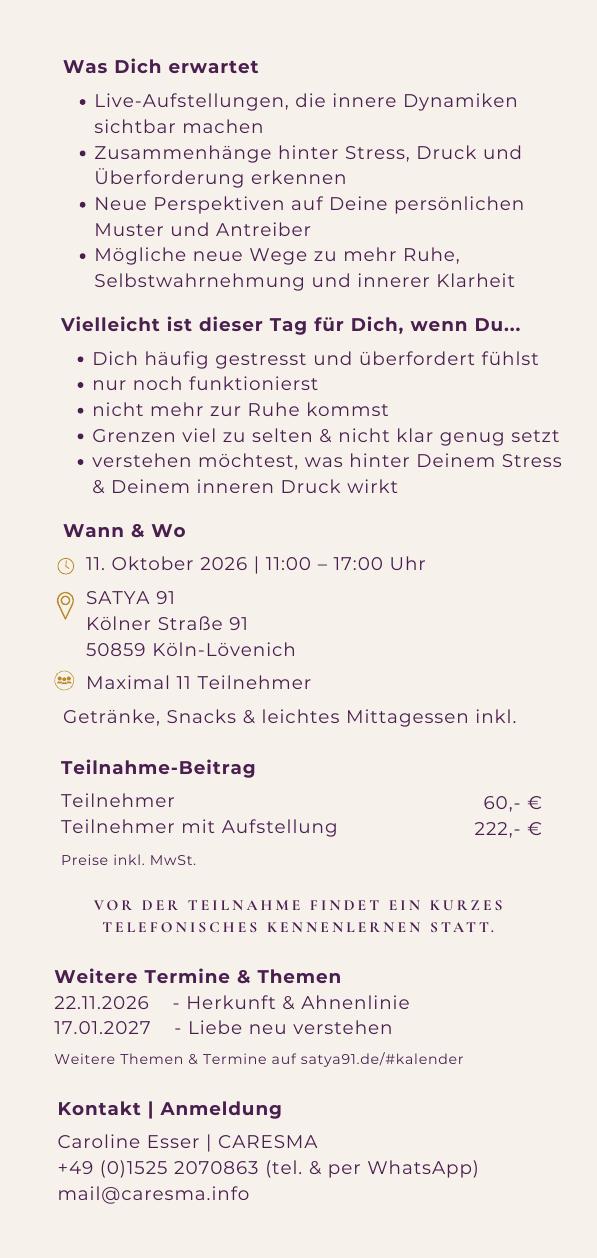 Aufstellungstag – Stress, Druck & Überforderung – Seite 2